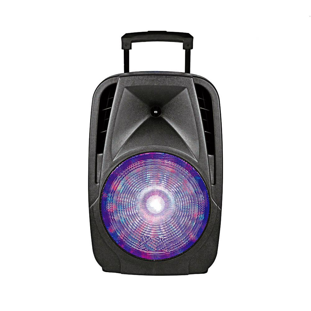 professional multi function portable amplifier speaker system with plastic case