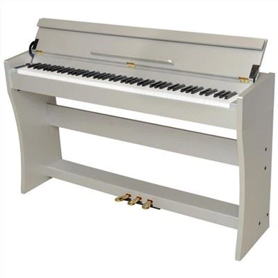Upright Hammer Digital Piano